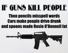 Truthboutguns