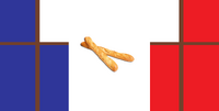 Baguettenia Flag