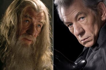 55ac63409e9755183d974671 ian-mckellen-gandalf-magneto