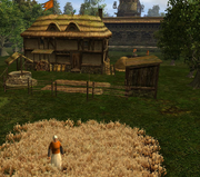 Croft