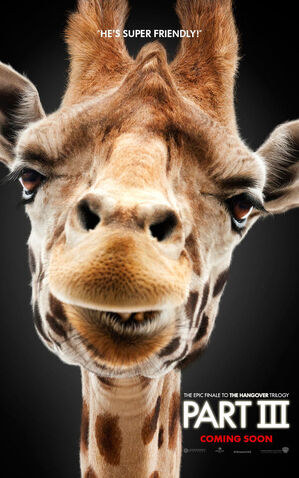 File:Alan giraffe.jpg