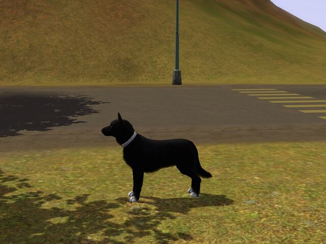 File:Screenshot-72.jpg
