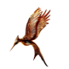 File:CFbird.png