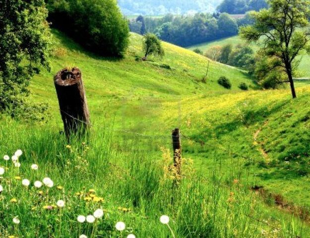 File:3772772-landscape-with-green-hills-and-meadows.jpg