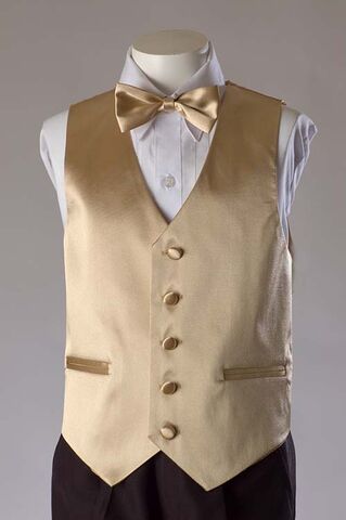 File:Vest Set-Champagne.jpg