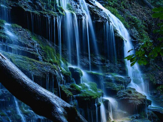 File:Nature 178.jpg