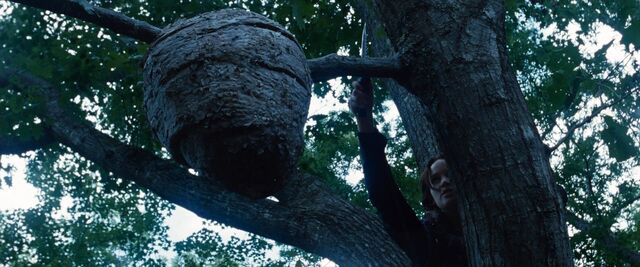 File:Thehungergames-7071.jpg