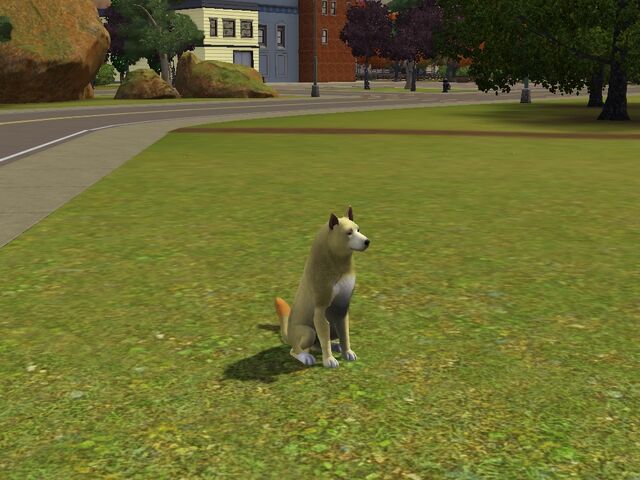 File:Screenshot-59.jpg