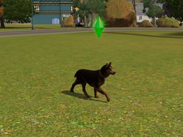 File:Screenshot-52.jpg