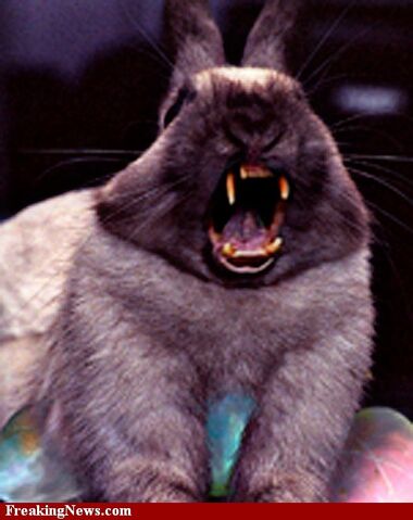 File:Rabbit mutt.jpg