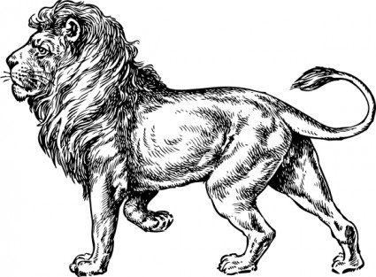 File:Lion clip art 6236.jpg