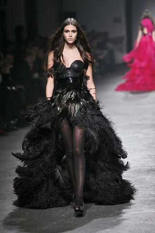 File:Dianna's Cheriot Costume.jpg