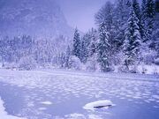 Frozen-Lake-Schnolzersee-Bavaria-Germany