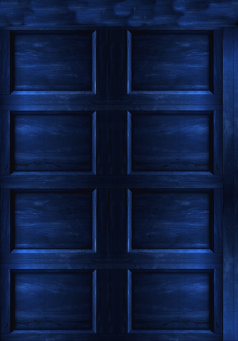 File:Back page of diary.png