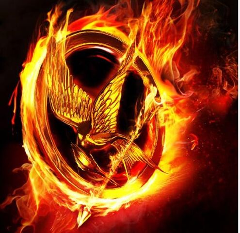 File:Hunger GAmes Fire(1).jpg