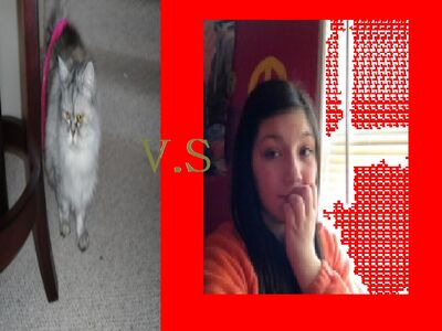 Vs
