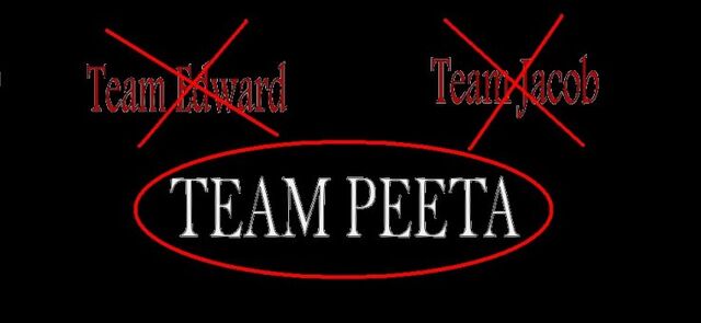 File:Hunger games team Peeta.jpg