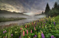 Thumbnail for version as of 09:51, August 13, 2014