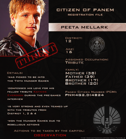File:Peeta Mellark's file.png