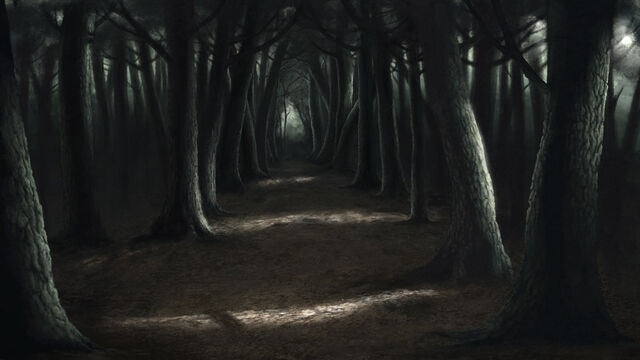 File:Creepy Forest.jpg