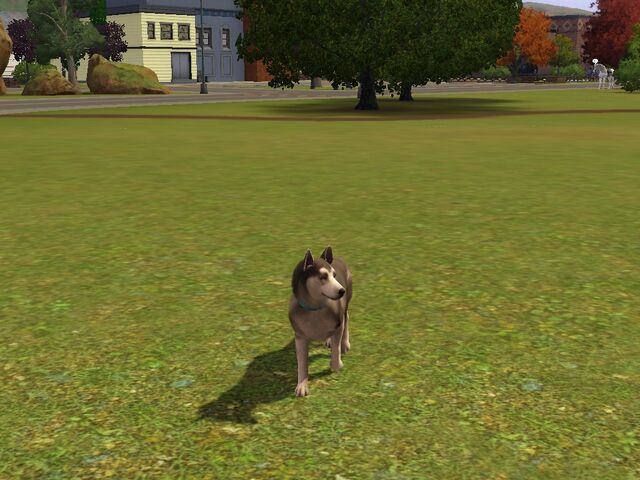 File:Screenshot-58.jpg