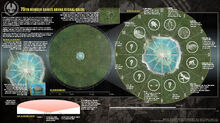 Catching-Fire-Arena2.jpg