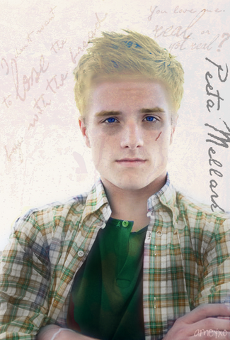 File:Peeta-Mellark-the-hunger-games-movie-20756654-367-541.png