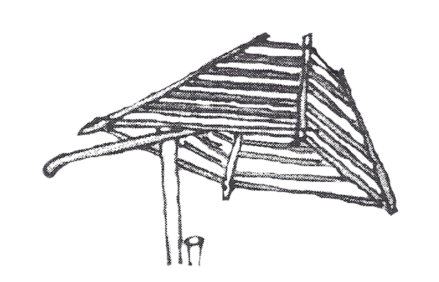Archivo:Aripuca-trampa.gif