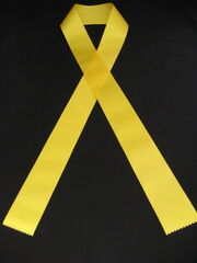 Yellow ribbon sash