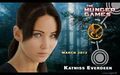 Thumbnail for version as of 02:34, April 28, 2013