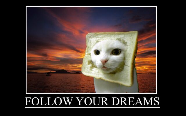 File:Follow your dreams.jpg