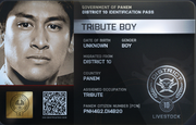 District 10 Tribute Boy ID Card 2
