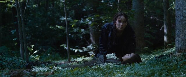 File:Thehungergames-8014.jpg