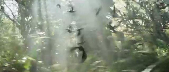 File:Jabberjays.png