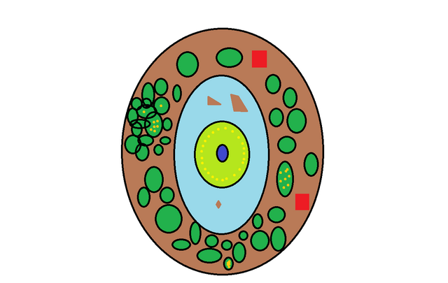 File:Arena Owen.png