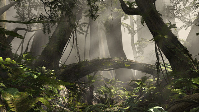 File:Eforest.jpg