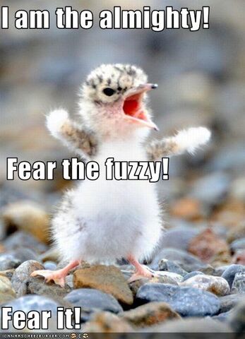 File:FUZZY.jpg