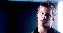 Large.gif