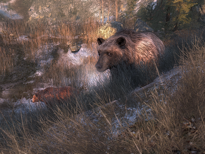 Braunbär 002.png