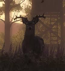 Live whitetail buck 004.jpg