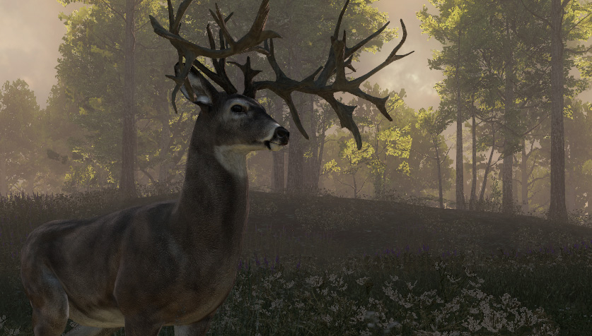 download the hunter classic beginner download the hunter classic beginner