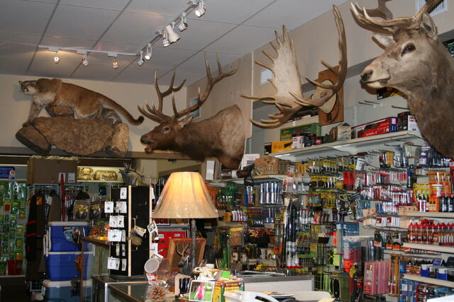 File:HankStore.jpg