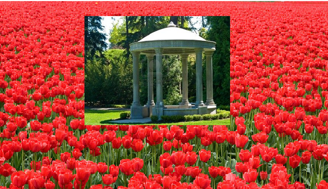File:Pavillion.png