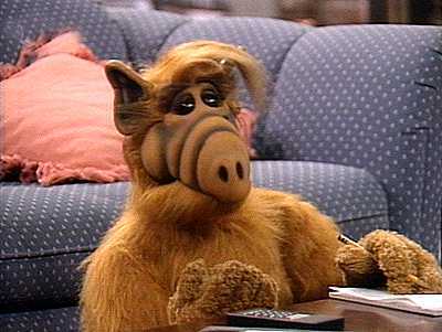 Alf11