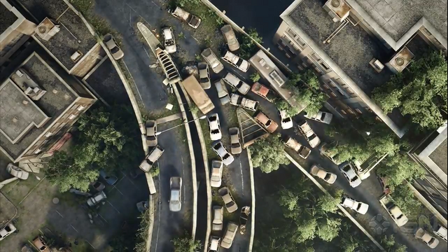 File:Tlouambush6.png