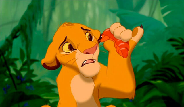 Archivo:Simba.jpg
