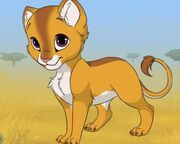 Kimba