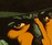 Shadow logo