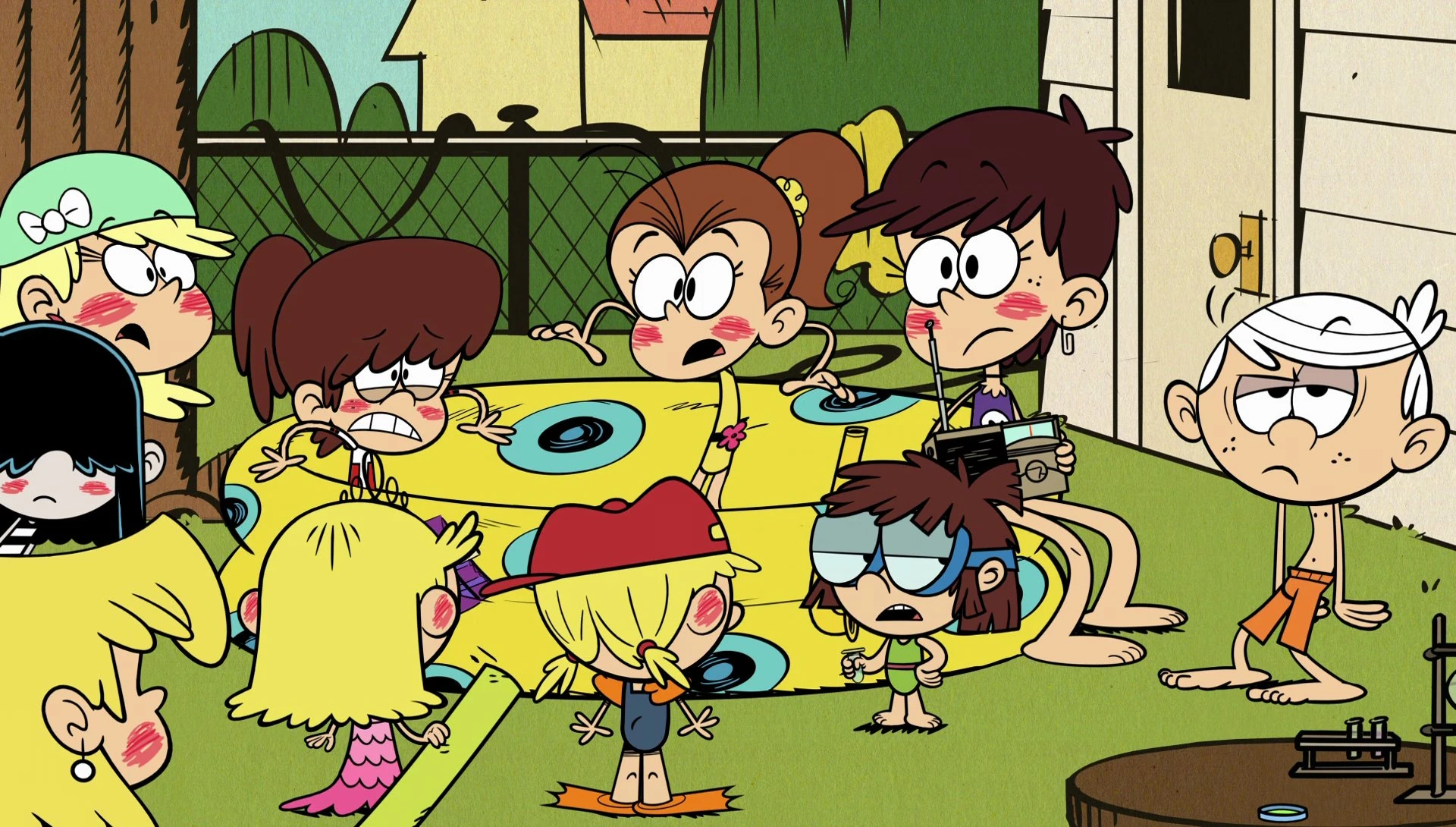 мой шумный дом 1