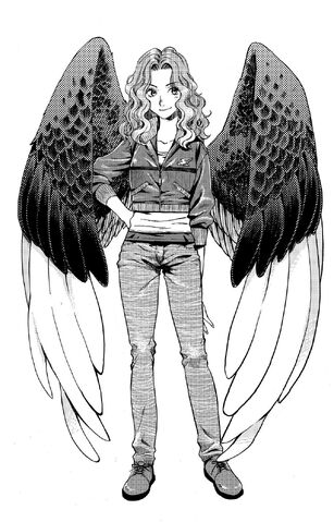 File:Manga-Max-maximum-ride-1317656-1026-1600.jpg